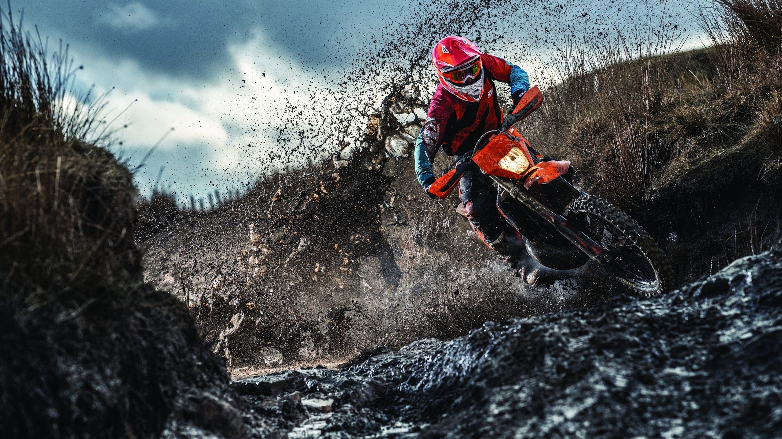 “美洲狮队逆袭强敌,刷新橄榄球冠军赛历史”